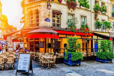 ¿Qué es un restaurante bistró? Características y origen